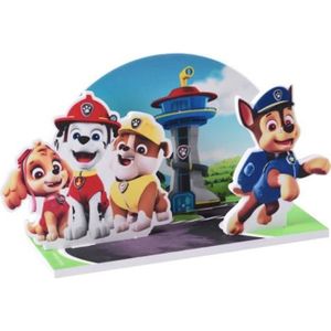 Disque Pour Gateau Pat Patrouille Cdiscount