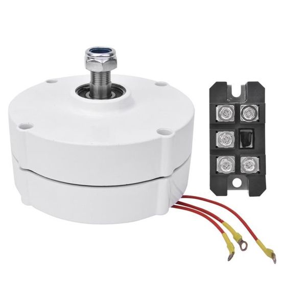 Générateur vertical 12V 300w à aimant permanent