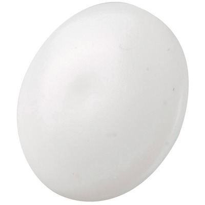 CACHE VIS SPAX BLANC /500