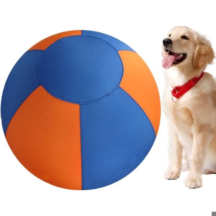 Balle pour Chien - Ballon Sautant Et Roulant pour