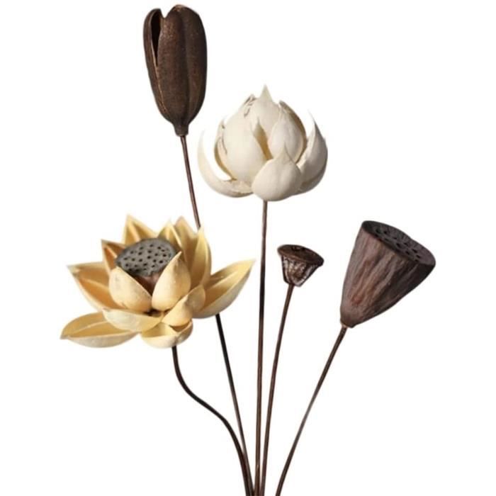 5 PièCes Vraie Fleur de Lotus PresséE SéChéE Naturelle, Branche de Fleur de  NéNuphar DéCorative à la Main, DéCoration de Table[781] - Cdiscount Maison
