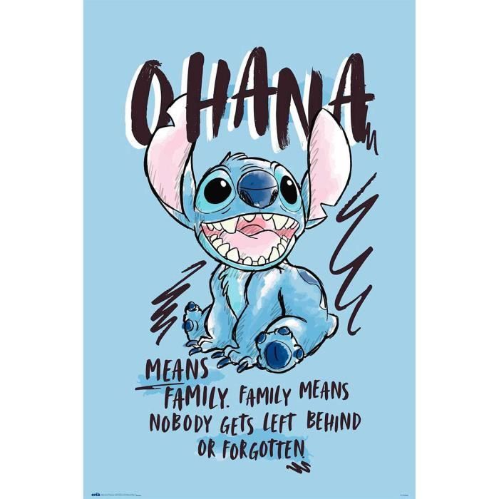 Poster Disney Stitch Ohana Means Family - Cdiscount Maison