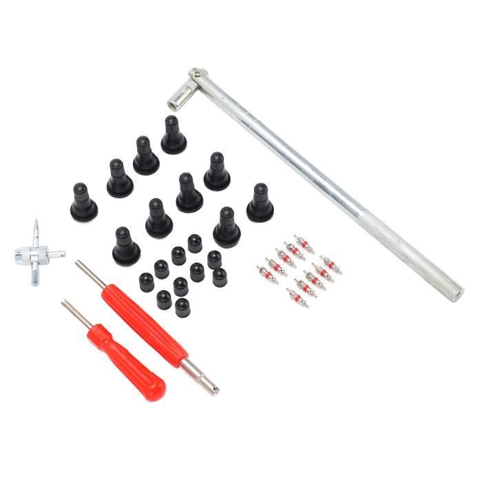 Double Taille SAE 1/4 Et 5/16 - Avec 10 Noyaux Valve Double Taille SAE 1/4 Et 5/16 - Avec 10 Noyaux Valve