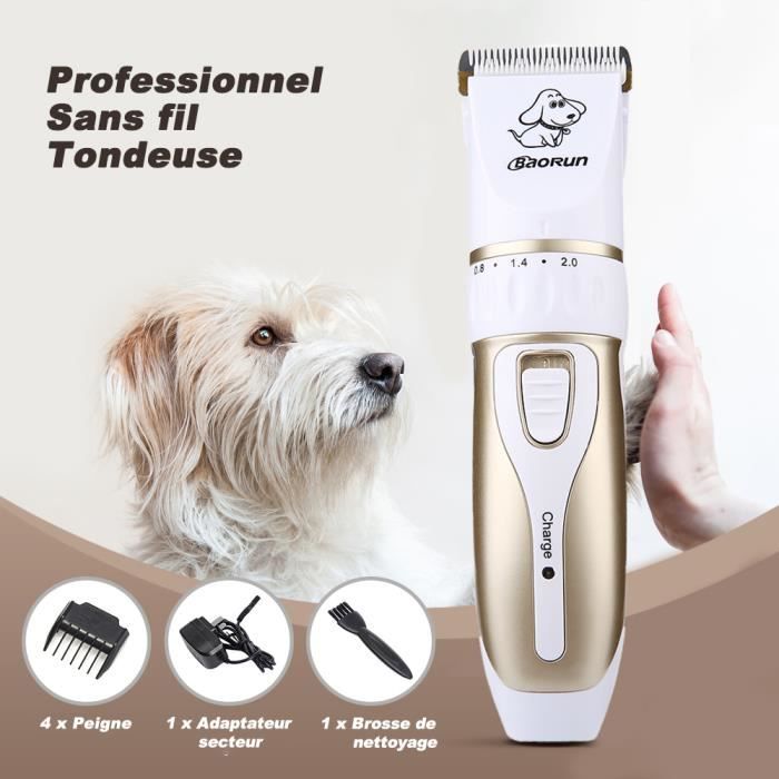 Professionnel Rechargeable Chien Chat Tondeuse électrique Chien Tondeuse Toilettage Rasoir Set Animaux Coupe De Cheveux Machine