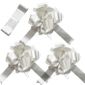 Time to Sparkle TtS 1 N/œud 7M Ruban Mariage Voiture Kit D/écoration Ribbon Emballage Cadeau Cerise