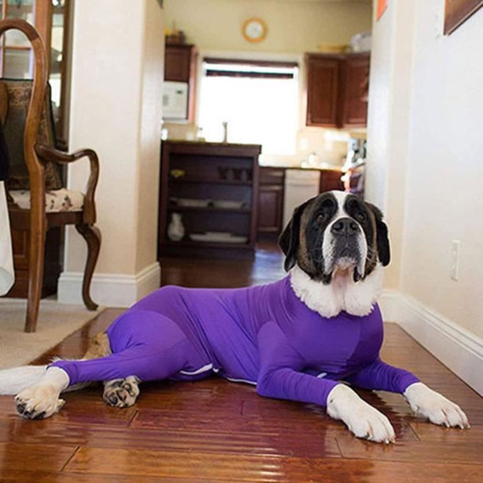 Pyjama pour grand chien top