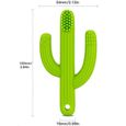 Anneau Dentition bebe, Cactus Jouet de dentition et silicone 100% sans BPA (vert)-3