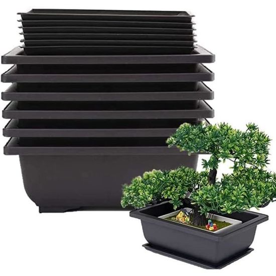 6 Pots à Bonsaï Avec Soucoupes - Plastique Marron Foncé - Format 6,5 X 4,75 X 2,38 Pouces - Filet De Drainage Intégré