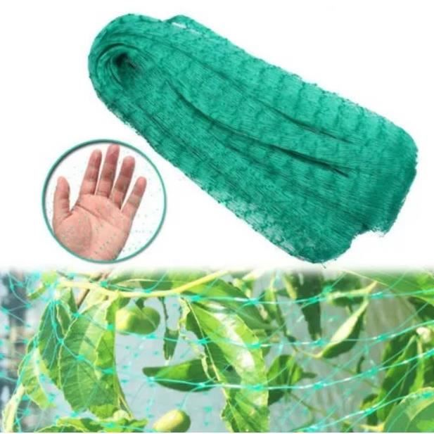 Filet anti-oiseau 4*10m en polyéthylène filet de jardin verger extrusion Filet anti-oiseau vert pour les fruits et légumes