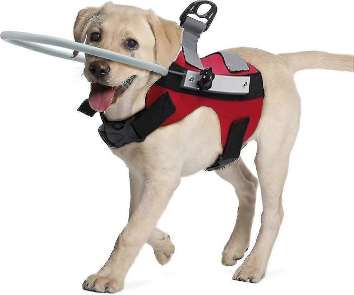 Meilleurs prix pour Ceinture de sécurité pour chien aveugle, collier pour chien aveugle et collier anti-collision pour animaux de compagnie M