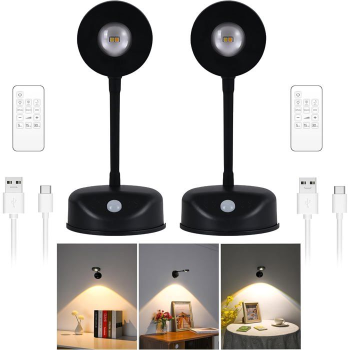Lampe LED pour Tableaux à Capteur de Mouvement 2200mAh Télécommandée 3 Couleurs Dimmable Magnétique 360° (Noir 2 Pièces)