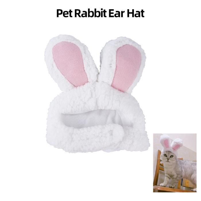 Oreilles De Lapin Mignons Chapeau Pour Chat Cosplay Vetements Fantaisie Animal Bonnet De Lapin Halloween Paques Anniversaire Photo Cdiscount