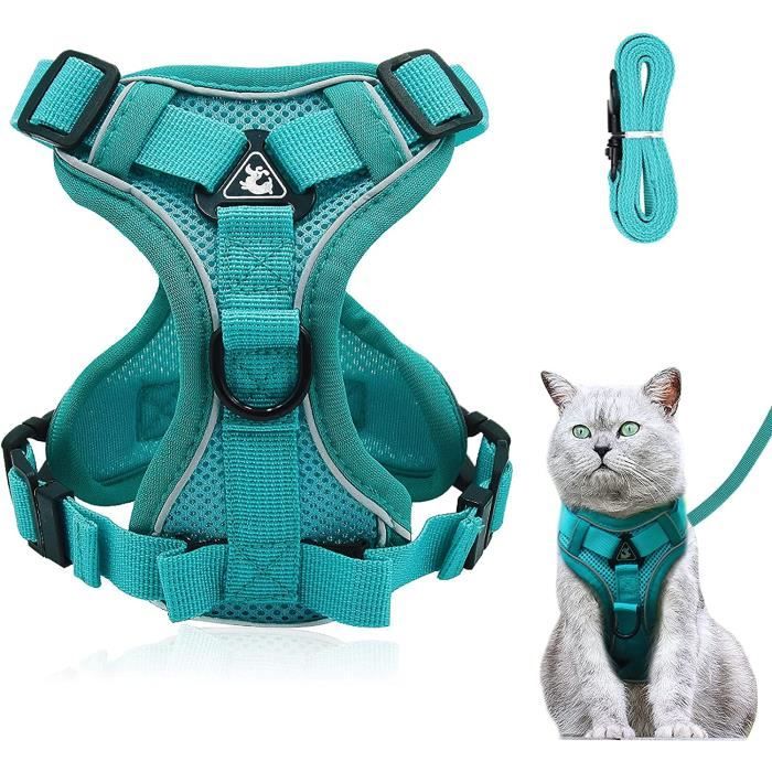 Meilleurs prix pour Harnais réglable anti-éclatement pour chat avec laisse - Harnais souple pour chat - Harnais de poitrine pour Chat Chiot, Lac bleu S