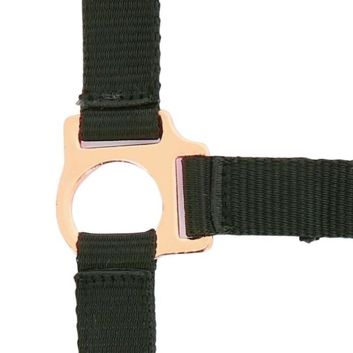 Licol Pour Cheval Brama West River - Simple, Rembourré En Polaire - Marron - Taille Réglable Et Mousqueton Rapide - 7