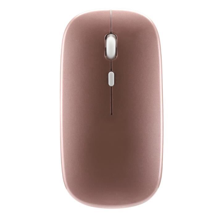 Souris optique sans fil mini souris sans fil 2.4G élégante pour ordinateur  portable Vert - Cdiscount Informatique