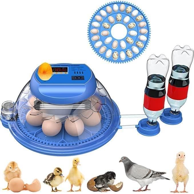 Incubateur Œufs Automatique 12 Œufs - Rotation, Contrôle Température/Humidité, LED, Pour Poules, Canards