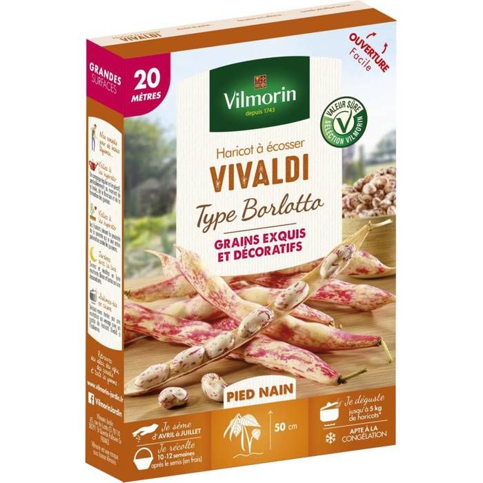 Meilleurs prix pour Graines de Haricot à écosser Vivaldi 20m type Borlotto - Phaseolus Vulgaris-