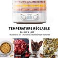 Déshydrateur Alimentaire électrique ROSEDOES - 5 Plateaux transparents Amovibles - Température réglable 15-70°C-1