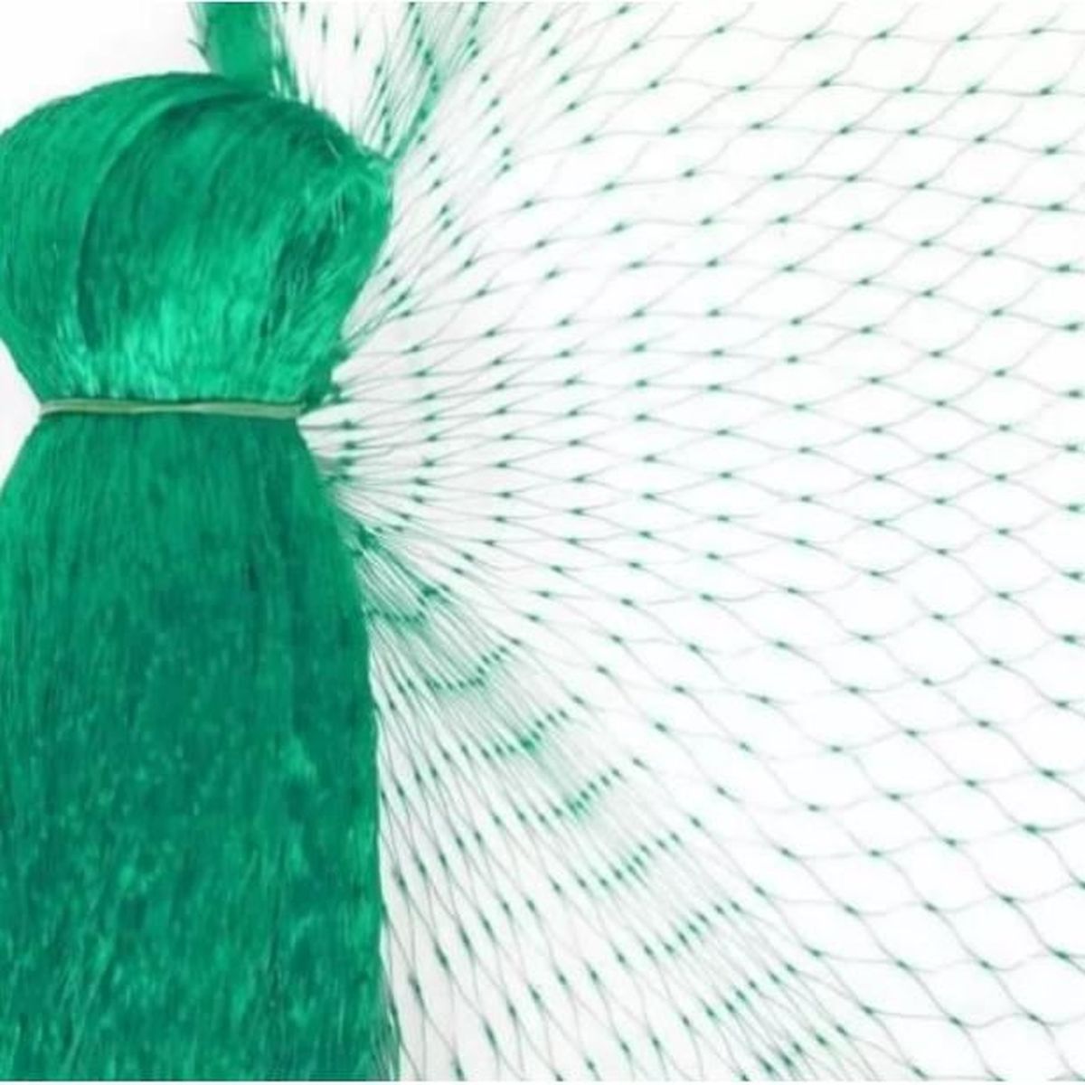 Filet Anti-oiseau En Polyéthylène Filet De Jardin Verger Extrusion Filet Anti-oiseau Vert Pour Les Fruits Et Légumes 11 Filet Anti-oiseau En Polyéthylène Filet De Jardin Verger Extrusion Filet Anti-oiseau Vert Pour Les Fruits Et Légumes -Jardin Doux Soldes Magasin AAHKMJXYDAFdJAOAIMEbOAchCOI8GFjcD8f575ZL0xHV43iMOFv4qsBn16lxy IK0RxnBrAVMGD1PPG9FfbfhFDvqwYb6 yQWzwEg3JEfRpyh8tn95E8e77wQnBIVGS4QUMXAMzcVdrqPX2g1NeW6T6qVdyUcL Vvg Fp6Sm2f85nZkXRuAPGG88HnvllKL7UQY=