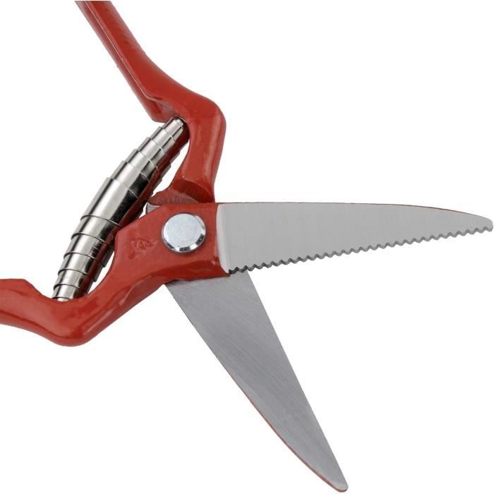 Tijera Vendimia Forjada[n766] - Cdiscount Jardin