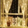 Guirlande lumineuse VOLTRONIC Rideau 6x3m, 600LED, blanc chaud, câble transparent, télécommande incluse-2