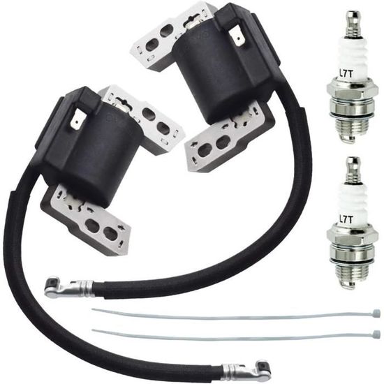 Bobine D'allumage Performance Pour Moteur Quantum 5HP - Réf. 590454/802574 - Neuf