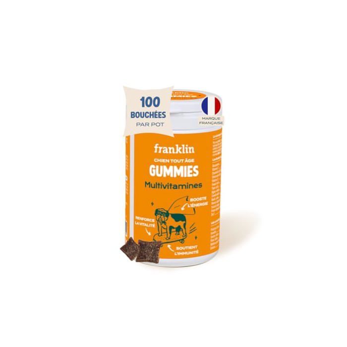 Complément alimentaire - FRANKLIN - Multivitamines Chien 150g - Peau & pelage - Soutien immunitaire - Sans OGM Complément alimentaire - FRANKLIN - Multivitamines Chien 150g - Peau & pelage - Soutien immunitaire - Sans OGM