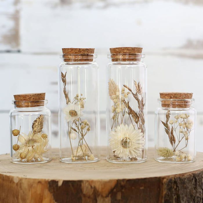 Fleurs séchées sous verre - Lot de 4 pièces - 2 petits et 2 grands bocaux - Bouchon en liège