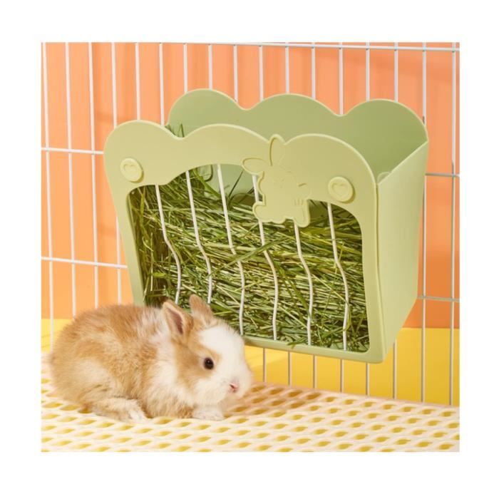 Mangeoire Lapin Râtelier à Foin Suspendu pour Petits Animaux Lapins Lapins Nains Cochons dInde (Vert)