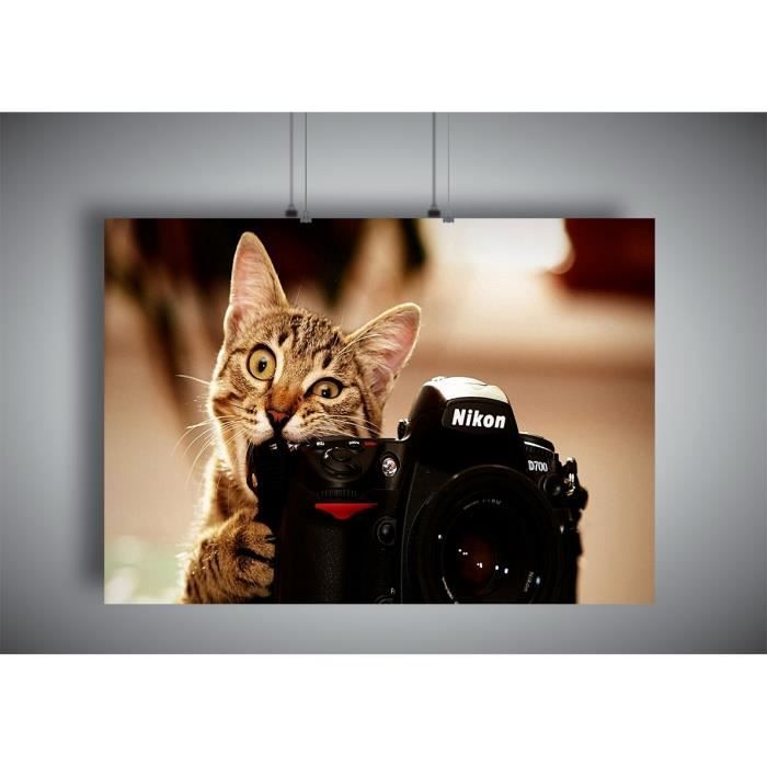 Poster Chat Drole Camera A3 (42x29,7cm)