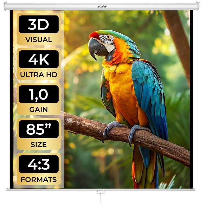 Écran de projection - TECTAKE - Écran de projection extensible en polyester facteur de gain 1.0 152 x 152 cm - Blanc