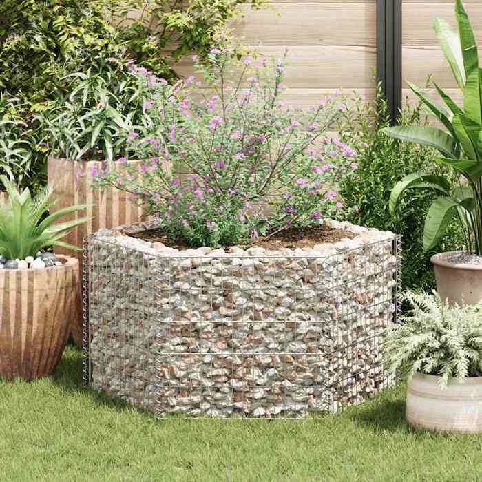 vidaXL Lit Surélevé à Gabion Hexagonale 100x90x50 cm Jardinière Pot de Fleur 142532