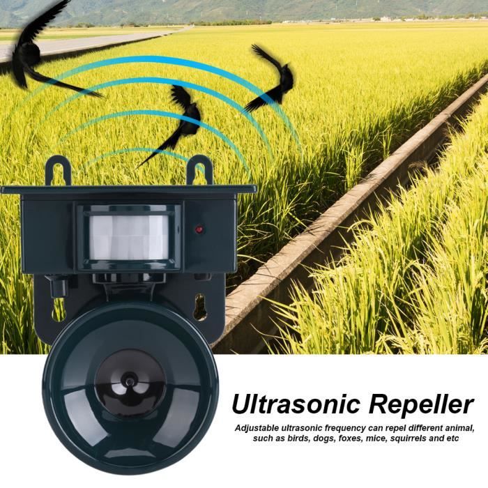 Répulsif ultrasons oiseau Répulseur de nuisible Solaire pour oiseaux, chiens, renards, souris, écureuils