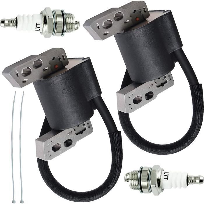 590454 Bobine d'allumage pour Briggs & S 799381 790817 692605 802574 ...