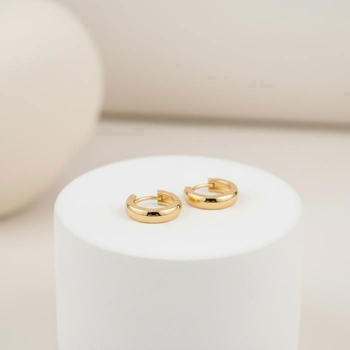 Boucles d'oreilles LACOSTE acier
