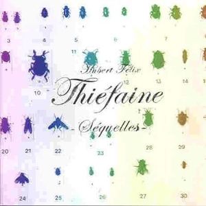Thiéfaine 84 88 - Hubert-Félix Thiéfaine - CD album - Achat & prix