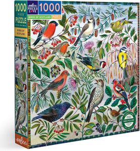 PUZZLE 1000 pièces – Les Oiseaux d’Ecosse Fascinant en Ca