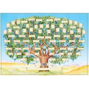 AFFICHE - POSTER Tableau de l'arbre généalogique Décoration de la m