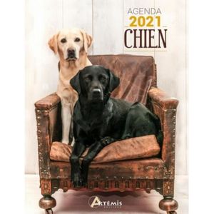 Agenda Chien 2021 Achat Vente Pas Cher