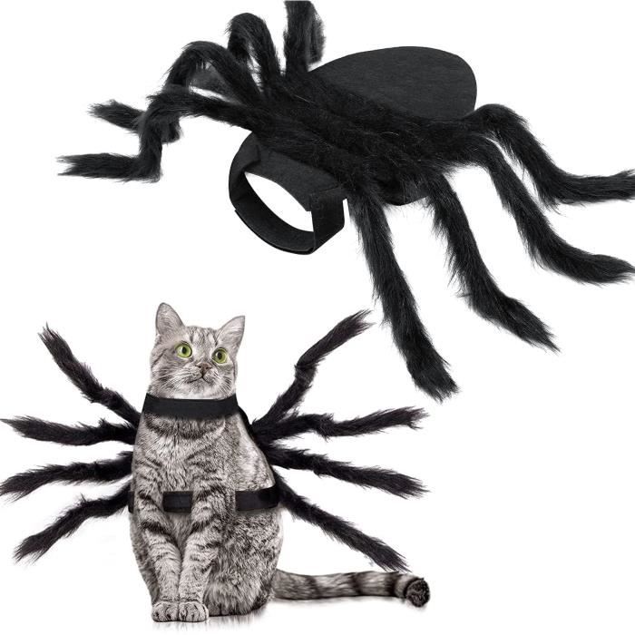 Costume Araignee Halloween Pour Chien Chat Costume Pour Animaux De Compagnie Decorations Halloween Fourniture Fete Halloween Cost Cdiscount Costume Araignee Halloween Pour Chien Chat Costume Pour Animaux De Compagnie Decorations Halloween Fourniture Fete Halloween Cost Cdiscount