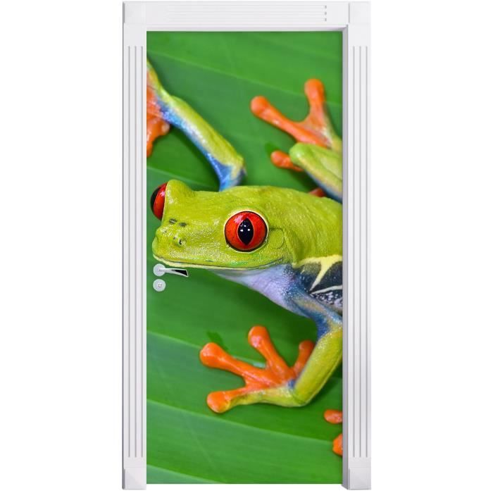 petite grenouille verte sur la feuille comme Murale, Format: 200x90cm, cadre de porte, porte autocollants, décoration de porte,