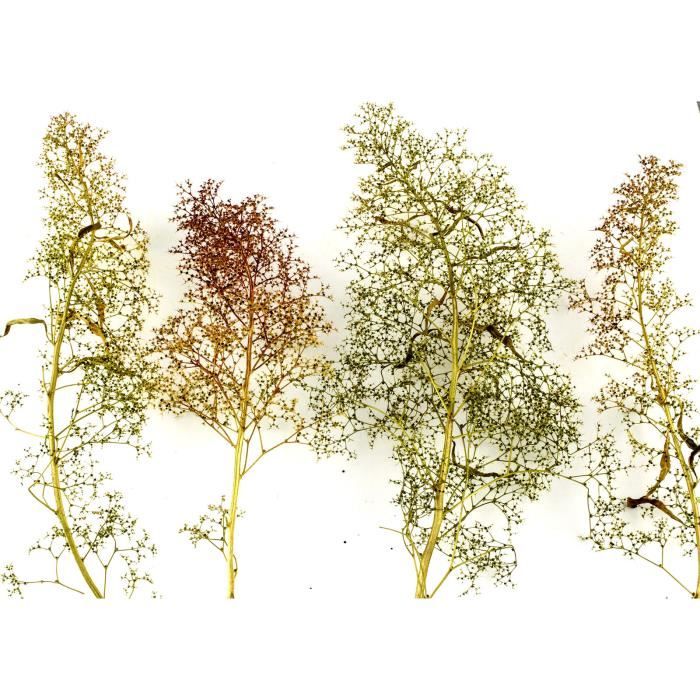 WWS Arbres d’Ecume de Mer - Zeechium Tailles Mélangées - Modélisme Ferroviaire, Maquettes, Dioramas, Modèle réduit