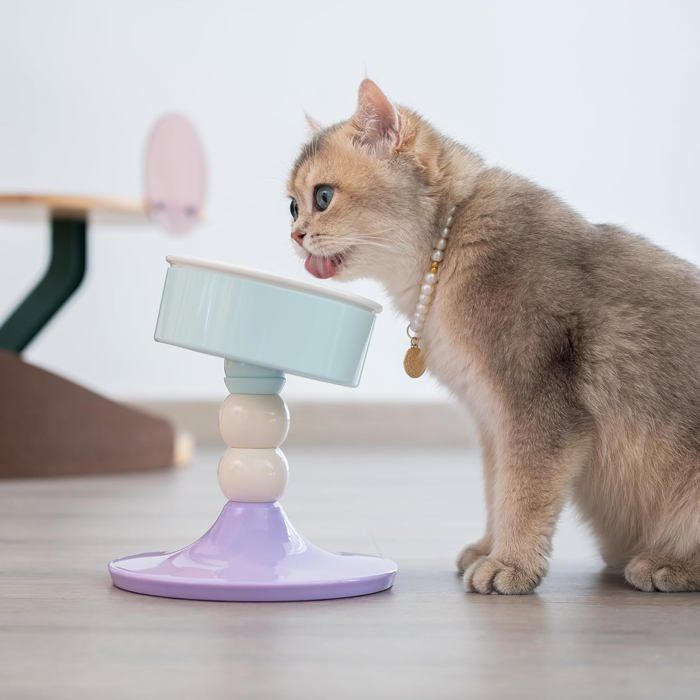 Comparer les prix de Gamelles surélevées pour chats et chiens - Inclinées à 15° réglables sur 3 hauteurs pour chats dintérieur et petits chiens