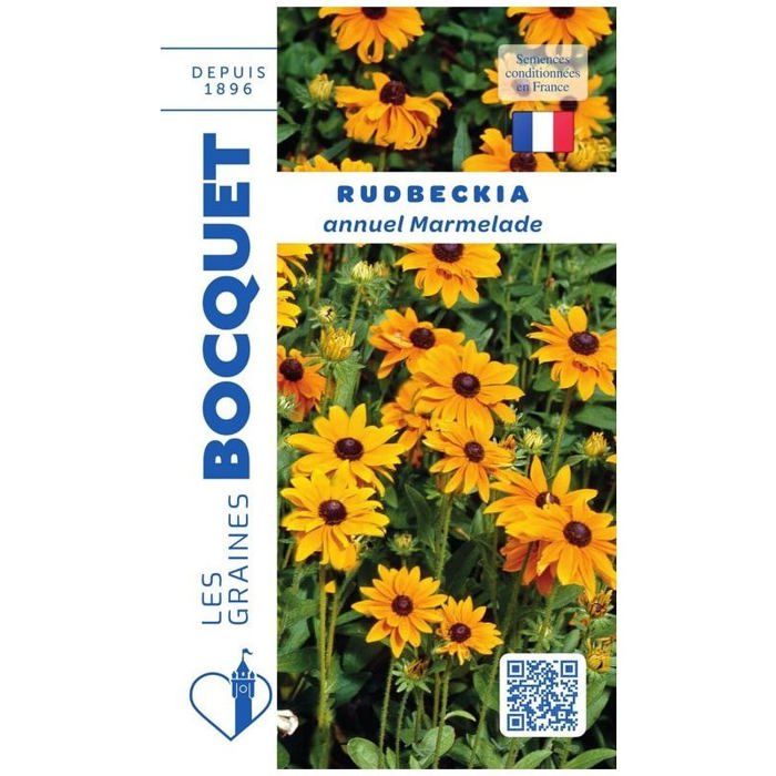 Graine - Semence - Rudbeckia annuel Marmelade