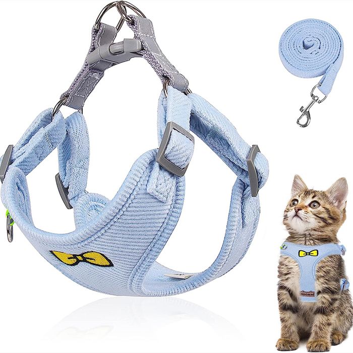 Comparer les prix de Ensemble laisse pour chat harnais réglable en polyester avec laisse harnais anti-fuite pour chatons et chiens (Bleu-S)