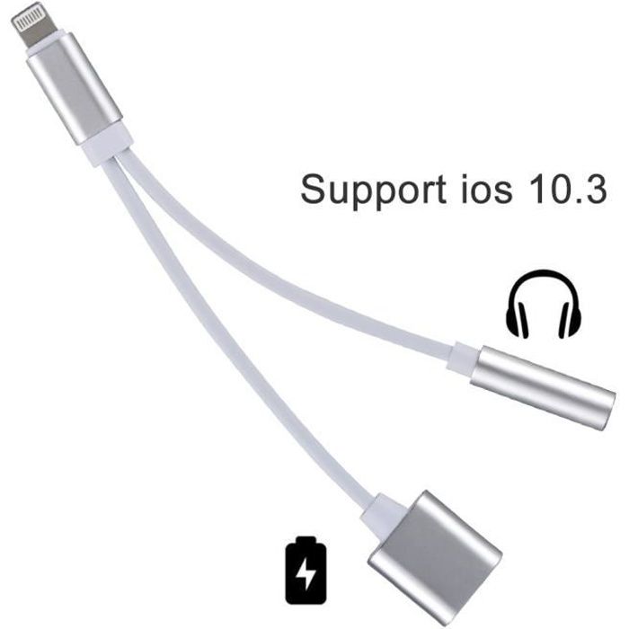 Lightning to 3.5mm Adaptateur audio 2 en 1 Lightning Charger Earphone Jack Cable pour Apple iPhone 7 et iPhone 7 Plus, argent