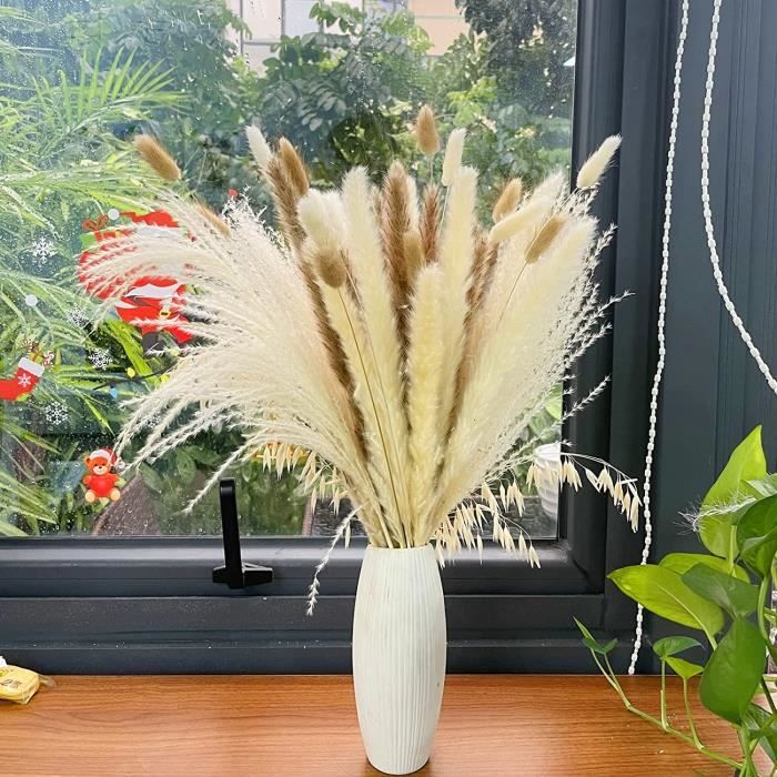 Herbe de la Pampa Naturelle, Bouquet de Fleurs Sechees Deco Pampas  Artificiels pour pour Vase Salon Cocooning Mariage Interieu[228] -  Cdiscount Maison