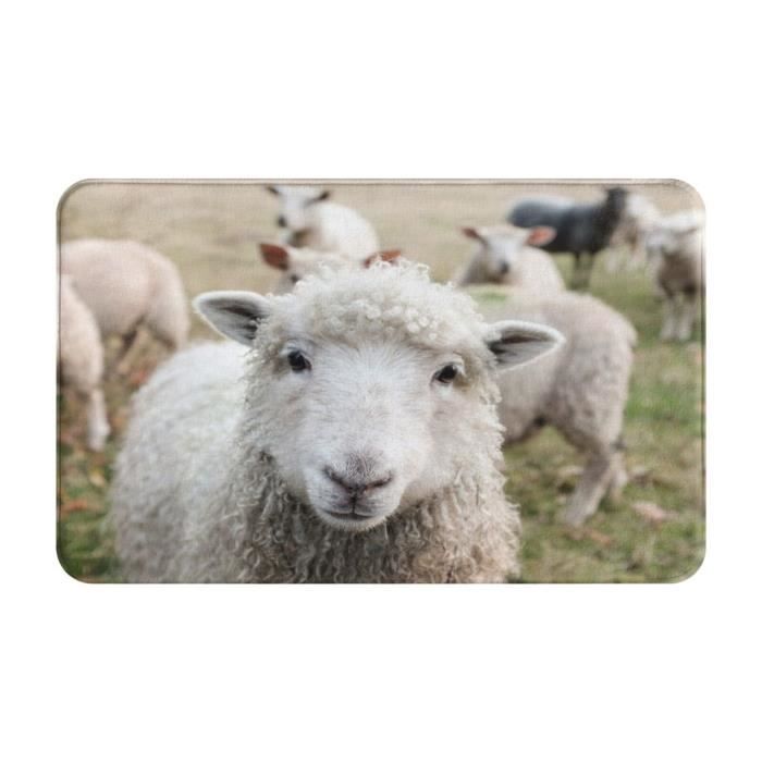 Paillasson Lavable Hé moutons Gertrud & Elsbeth türmattte pour intérieur et extérieur