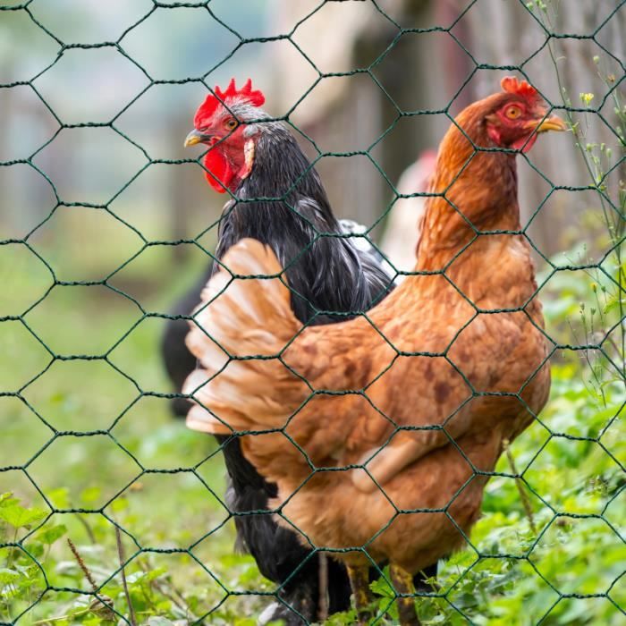 IDMARKET Grillage pour poules vert 1x25M maille 25mm triple torsion clôture  souple jardin animaux - Cdiscount Jardin