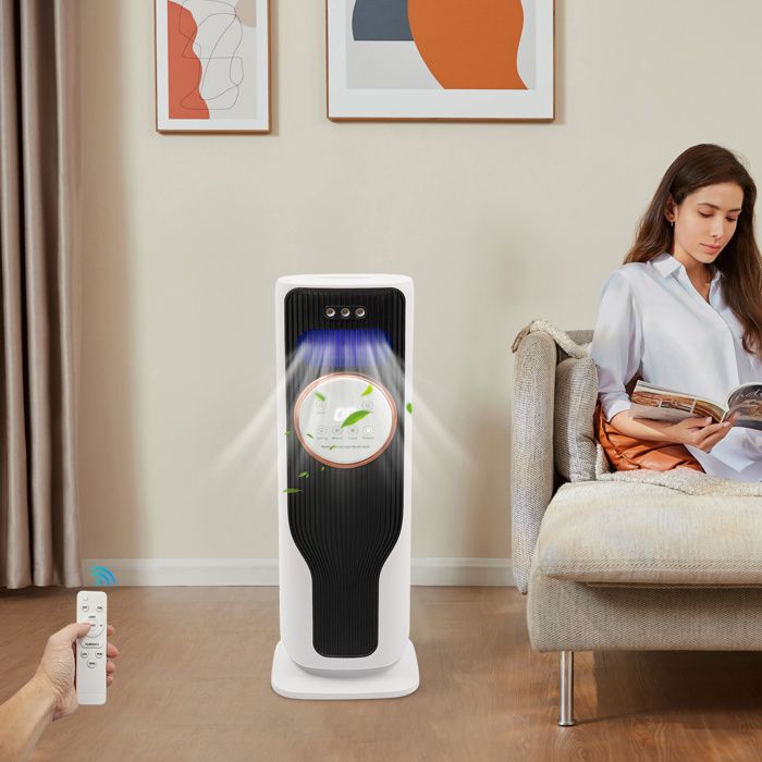 Spektrum Transmetteur d'air International et Domestique Chargeur AC Noir